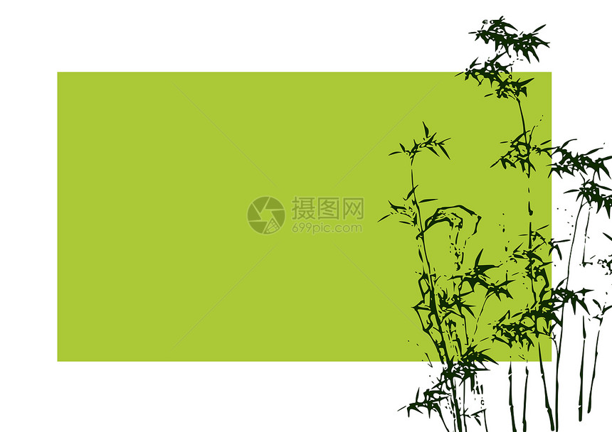 竹条说明生长木头树叶植物叶子热带插图植物群异国情调图片