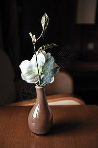 花瓶花白色窗户植物阴影静物酒店背景图片