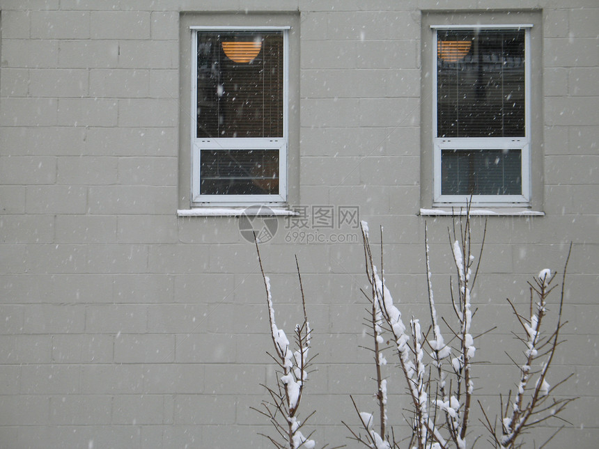 建筑前面的树上满是积雪水平窗户场景活动图片