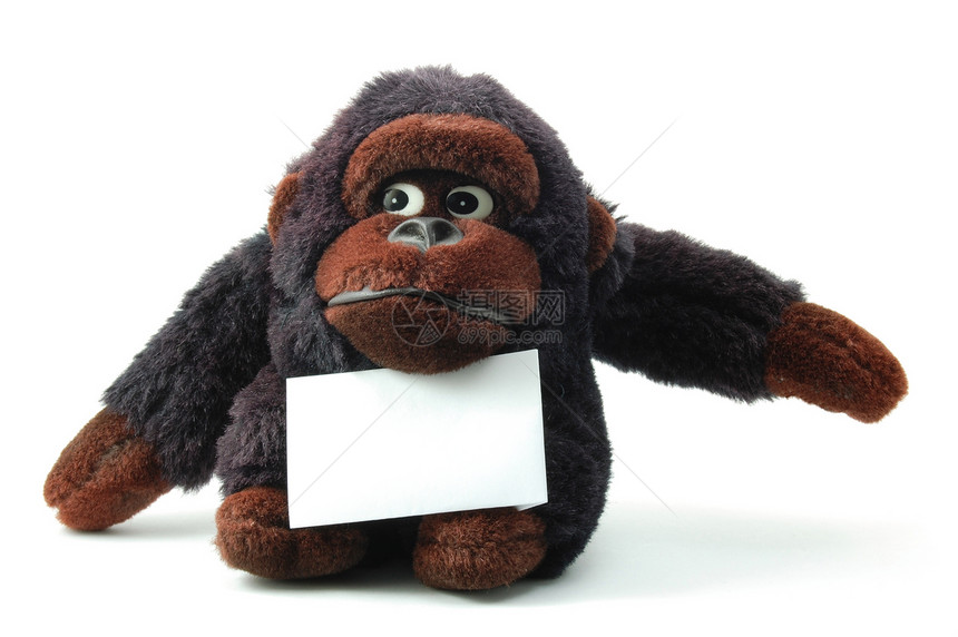 带空白页的孤立泰迪动物卡片孩子玩物玩具熊明信片拥抱展示礼物生日图片