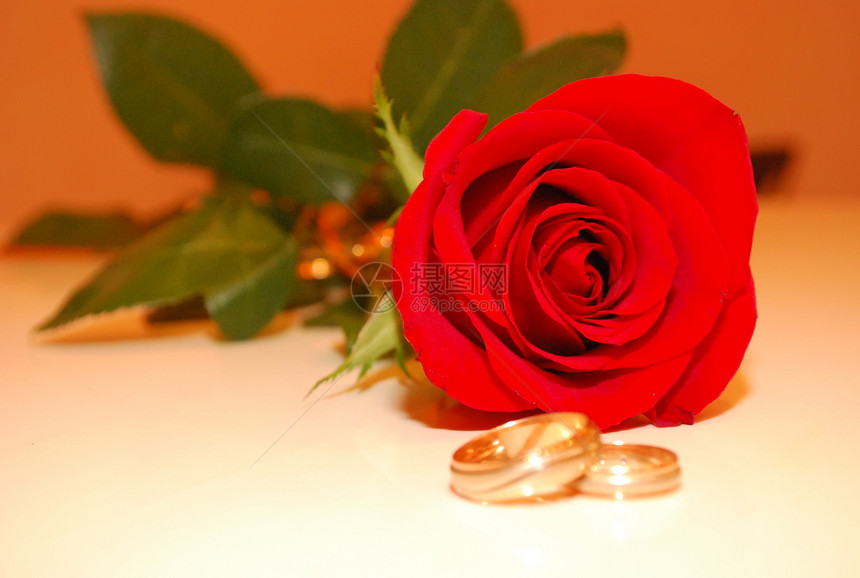 结婚戒指庆典已婚新娘婚姻婚礼水平树叶玫瑰金子浪漫图片