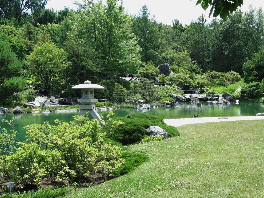 夏天的盛大花园植物鸭子树木灯笼图片