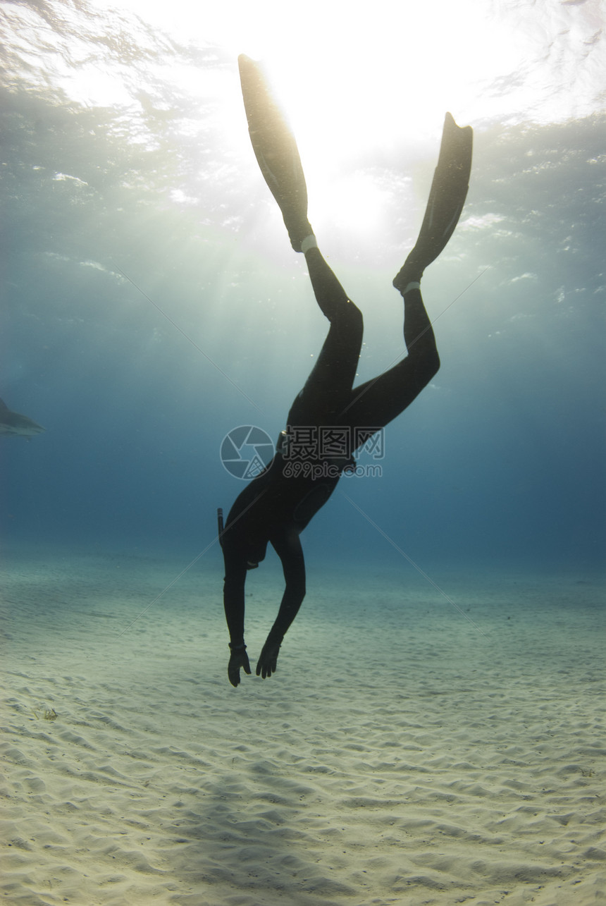 Freediver 后代图片