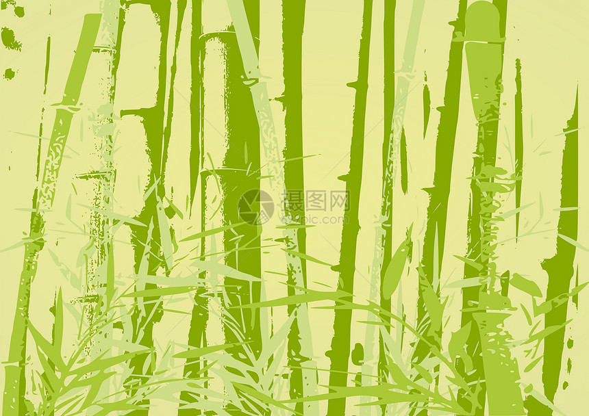 竹条说明情调绿色叶子生长植物群木头植物森林热带插图图片