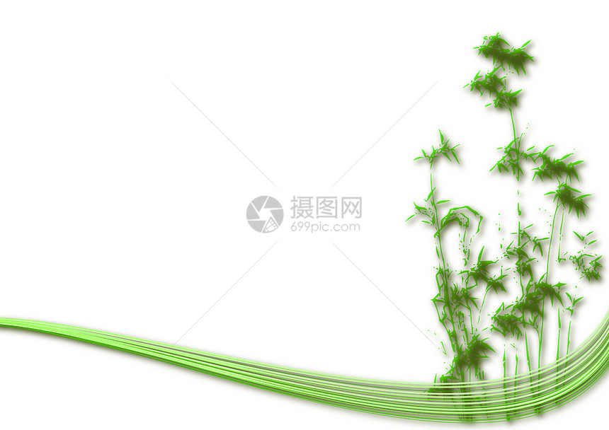 竹条说明插图叶子木头生长情调热带异国植物群植物树叶图片