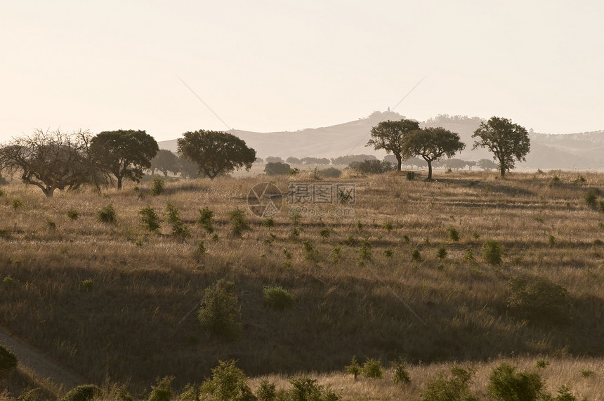 葡萄牙 艾伦特霍地面平原场地木头乡村农业恶作剧旅游旅行蓝色图片