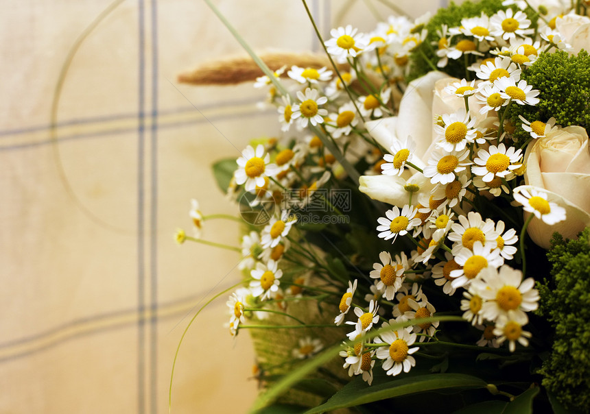 花束白色荒野框架季节季节性树叶黄色绿色植物晴天花朵图片