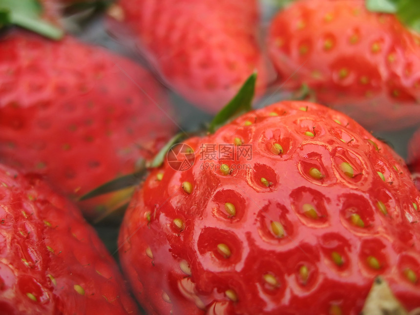 草莓绿色宏观甜食水果生活方式茶点浆果红色静物美食图片