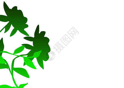 装饰植物背景插图环境商业白色卡片空白坡度图形化植物群绿色背景图片
