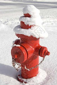 雪中的红火插头背景图片
