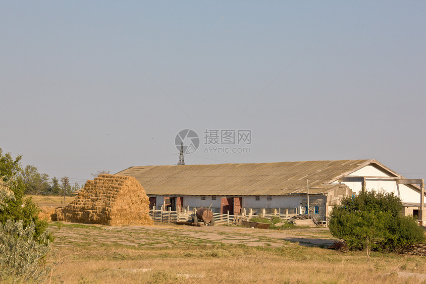 牛棚经济乡村草垛季节干草奶牛图片