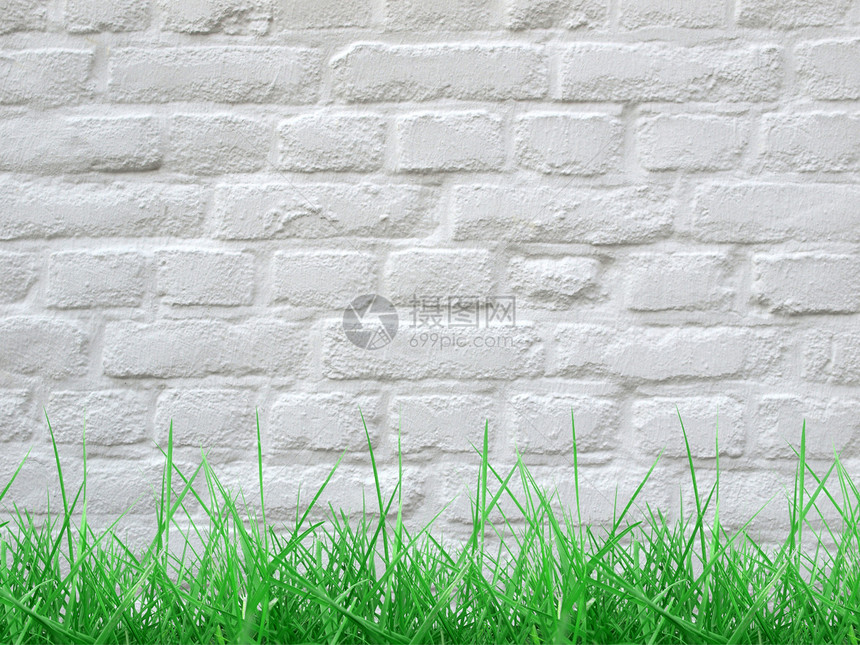 草和墙壁空白建筑砖块草地白色图片