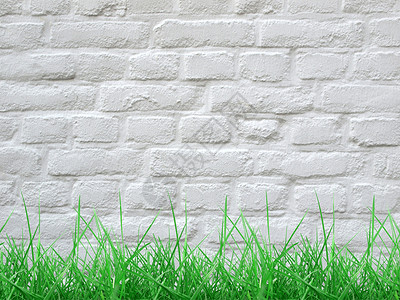 草和墙壁空白建筑砖块草地白色背景图片