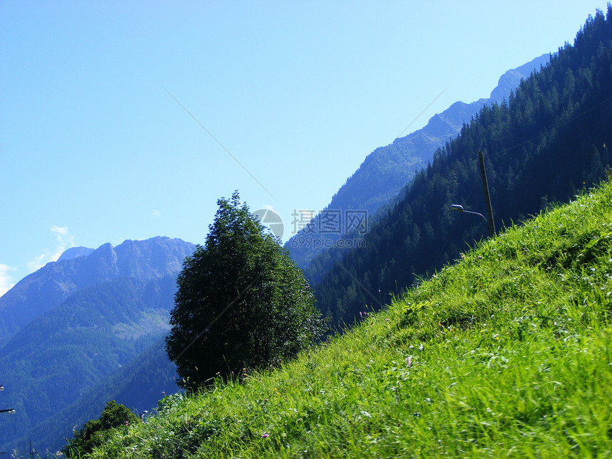 山山脉植被绿色太阳蓝天全景旅行图片