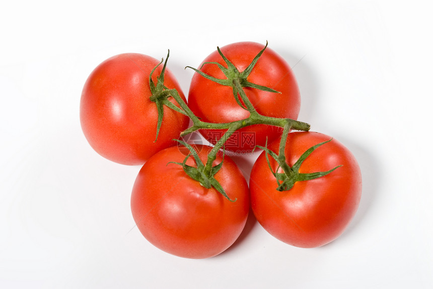 番茄蔬菜红色食物图片