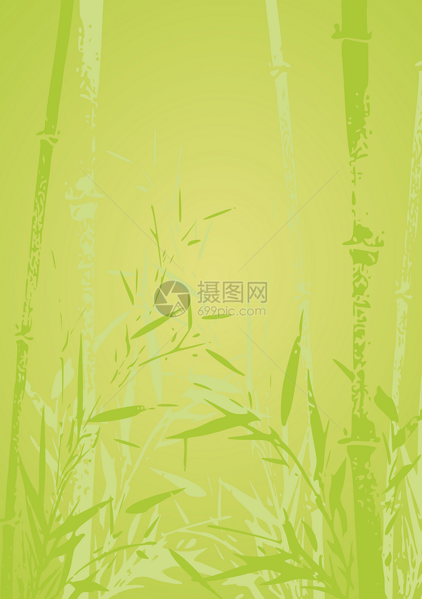 竹条说明森林树叶绿色植物群热带插图生长情调植物异国图片