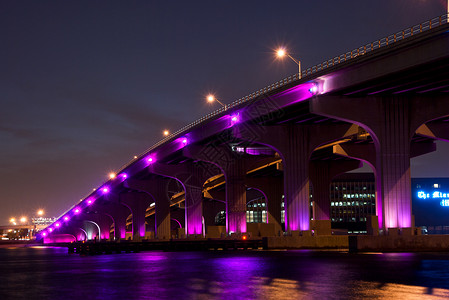 紫色夜桥茱莉亚海龟高速公路背景
