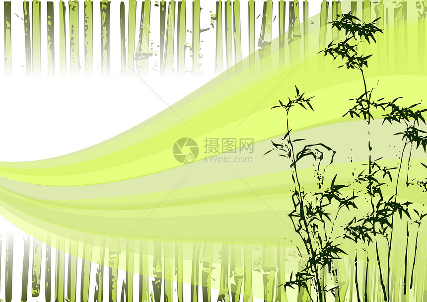 竹条说明生长树叶异国植物群情调木头插图绿色森林植物图片