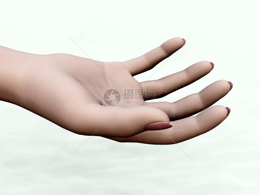 把手给我帮助生物学手臂手指拇指解剖学图片