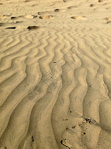 沙丘模式图案化海滩材料环境宏观山脊背景图片