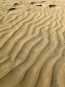 沙丘模式宏观材料山脊图案化环境海滩背景图片
