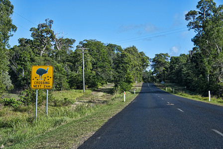澳大利亚国别区Name草地植被植物田园绿色场地风光背景图片