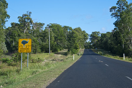 澳大利亚国别区Name绿色场地植被风光草地植物田园背景图片
