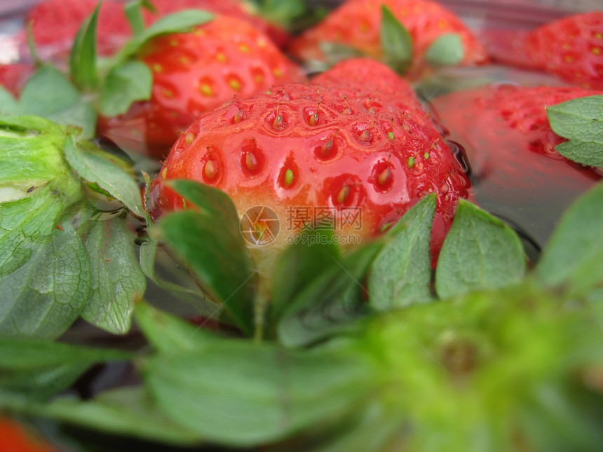 草莓宏观绿色茶点甜点健康饮食静物甜食饮食浆果水果图片