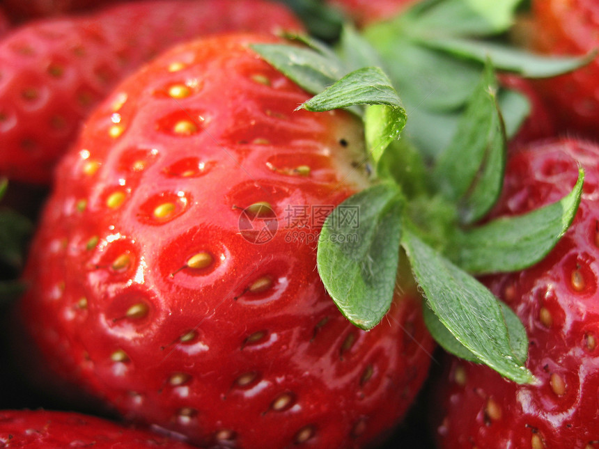 草莓红色健康饮食茶点静物美食甜食食物浆果宏观饮食图片