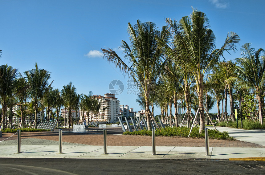 佛罗里达州迈阿密 炎热阳光清晨公寓蓝色建筑学住宅区旅行城市假期建筑热带乐趣图片
