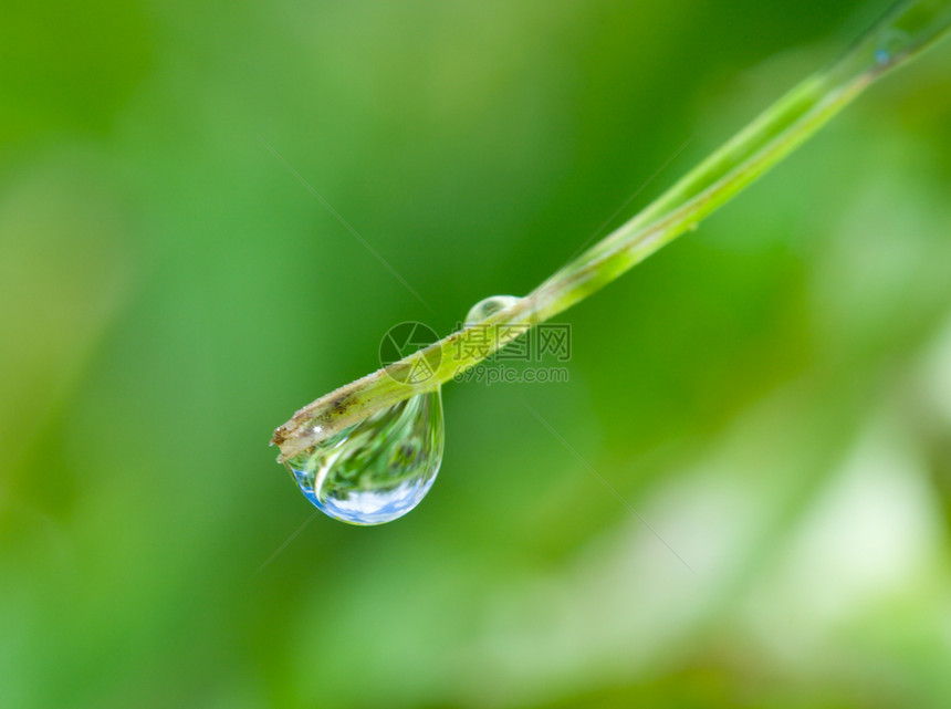 绿刀下的雨水图片