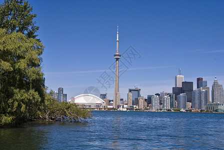 多伦多天际线加拿大多伦多建筑图 2008年8月办公楼建筑学假期景观旅游外观摩天大楼场景城市商务背景