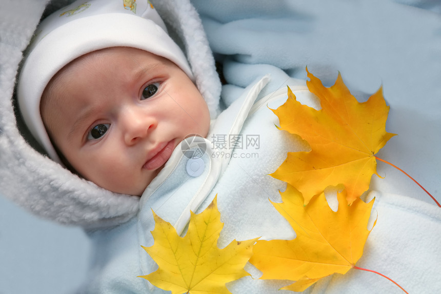 婴儿和秋天黄绿树叶图片