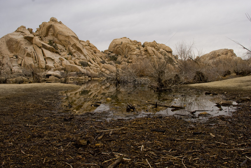 沙漠湖公园荒野国家反射石头池塘岩石树木木头图片