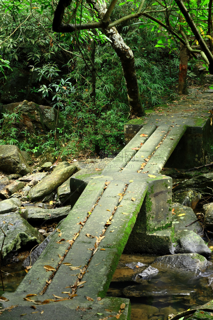 森林中的人行桥花园叶子建筑学池塘天桥公园冥想行人森林平衡图片