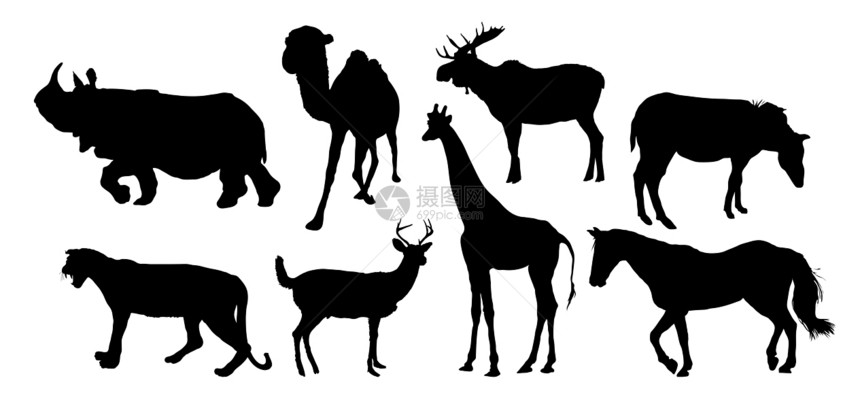 各种动物白色黑色夹子艺术哺乳动物骆驼驼鹿插图鹿角荒野图片