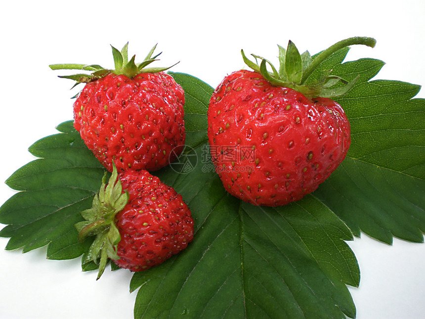 草莓季节饮食浆果果汁诱惑圆圈甜点食物美食水果图片