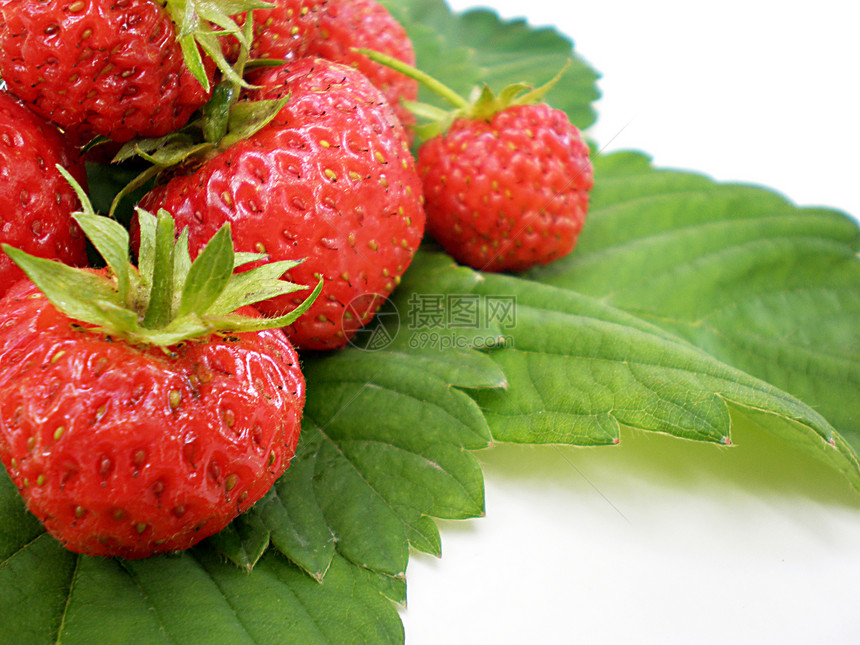 草莓甜点诱惑季节浆果美食水果食物圆圈果汁热情图片