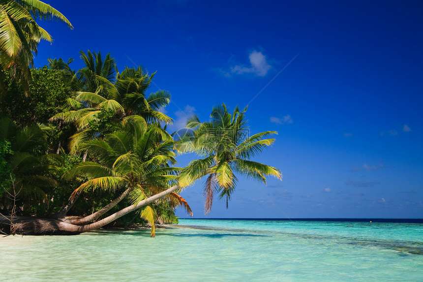 马尔代夫的热带天堂风景海洋蓝色叶子海景游客海浪太阳旅行旅游图片