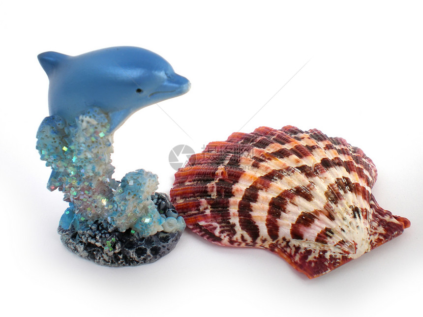 珊瑚之上的海豚雕像游泳边界自由石头哺乳动物火花海洋花丝绘画蓝色图片