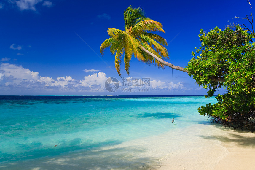 马尔代夫的热带天堂海景太阳海岸线假期旅行海洋叶子风景游泳场景图片