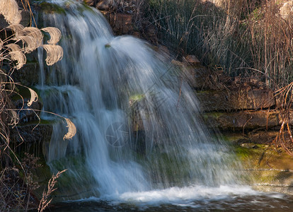 瀑布公园两性野生动物植物花园岩石背景图片