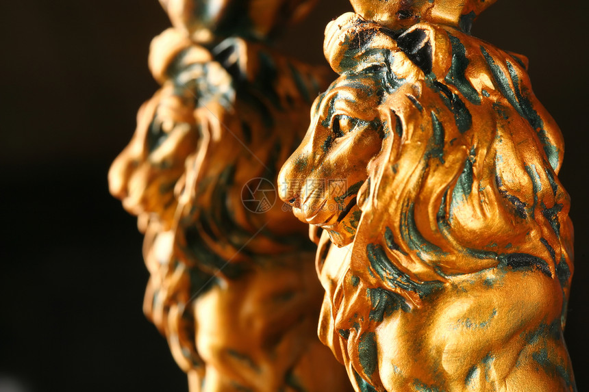 两只金狮动物雕塑鼻子黑色黄色眼睛鬃毛图片