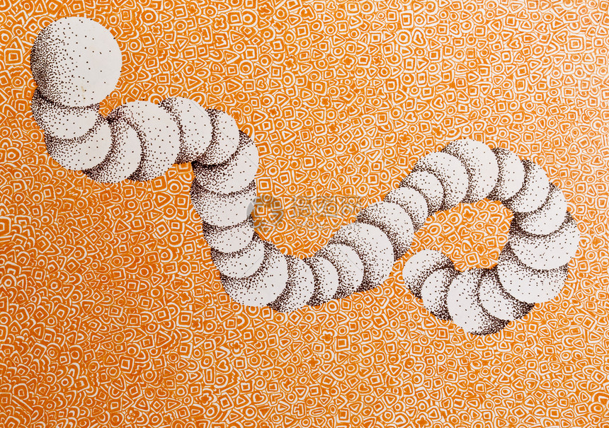 橙色曲线白色墙纸橙子艺术品毛虫图片