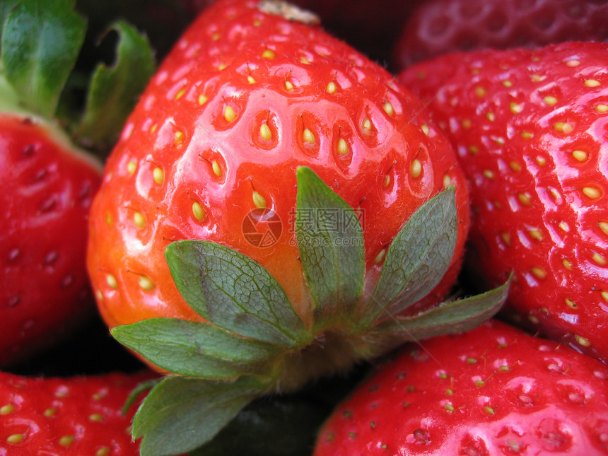 草莓美食食物静物宏观茶点浆果甜点生活方式红色水果图片