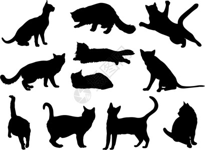 黑白素材猫猫 a设计图片