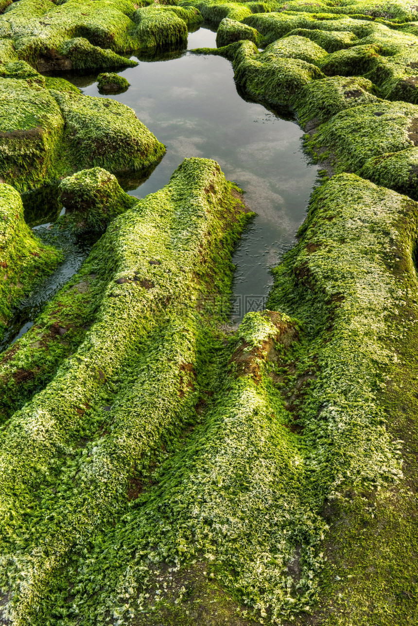 绿色海岸岩石图片