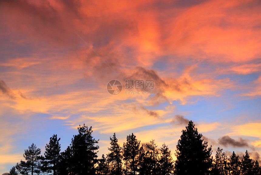 加州塔霍湖树上日落红云Tahoe湖树木日出松树场景天空森林假期旅行橙子地平线图片