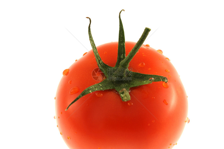 番茄飞沫薄雾花园公司生长叶子蔬菜红色食物市场图片