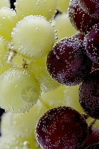 带气泡的葡萄背景图片